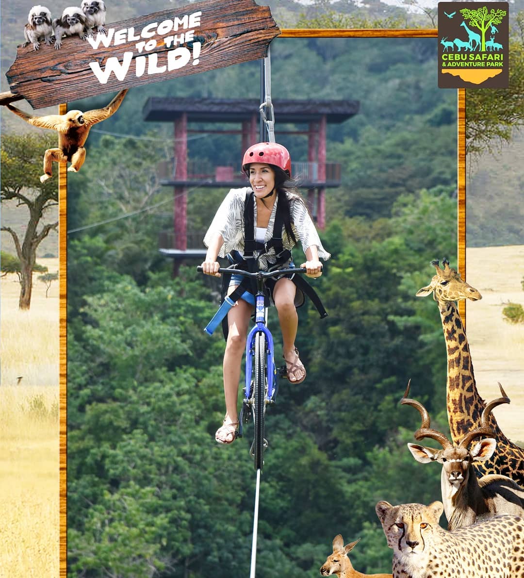 Cebu Safari & Adventure Park tweet media