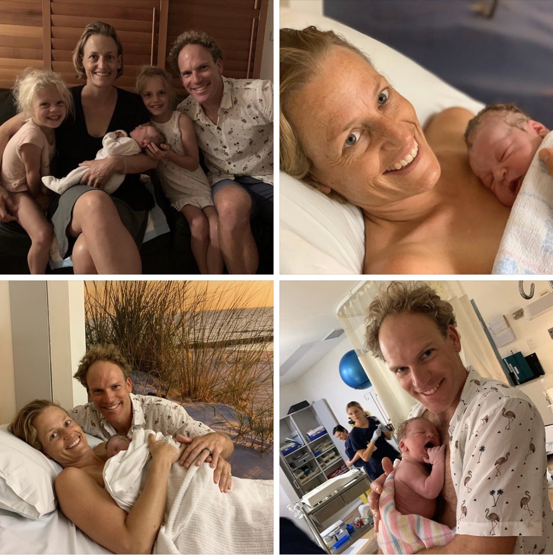 Dave Robertson tweet media