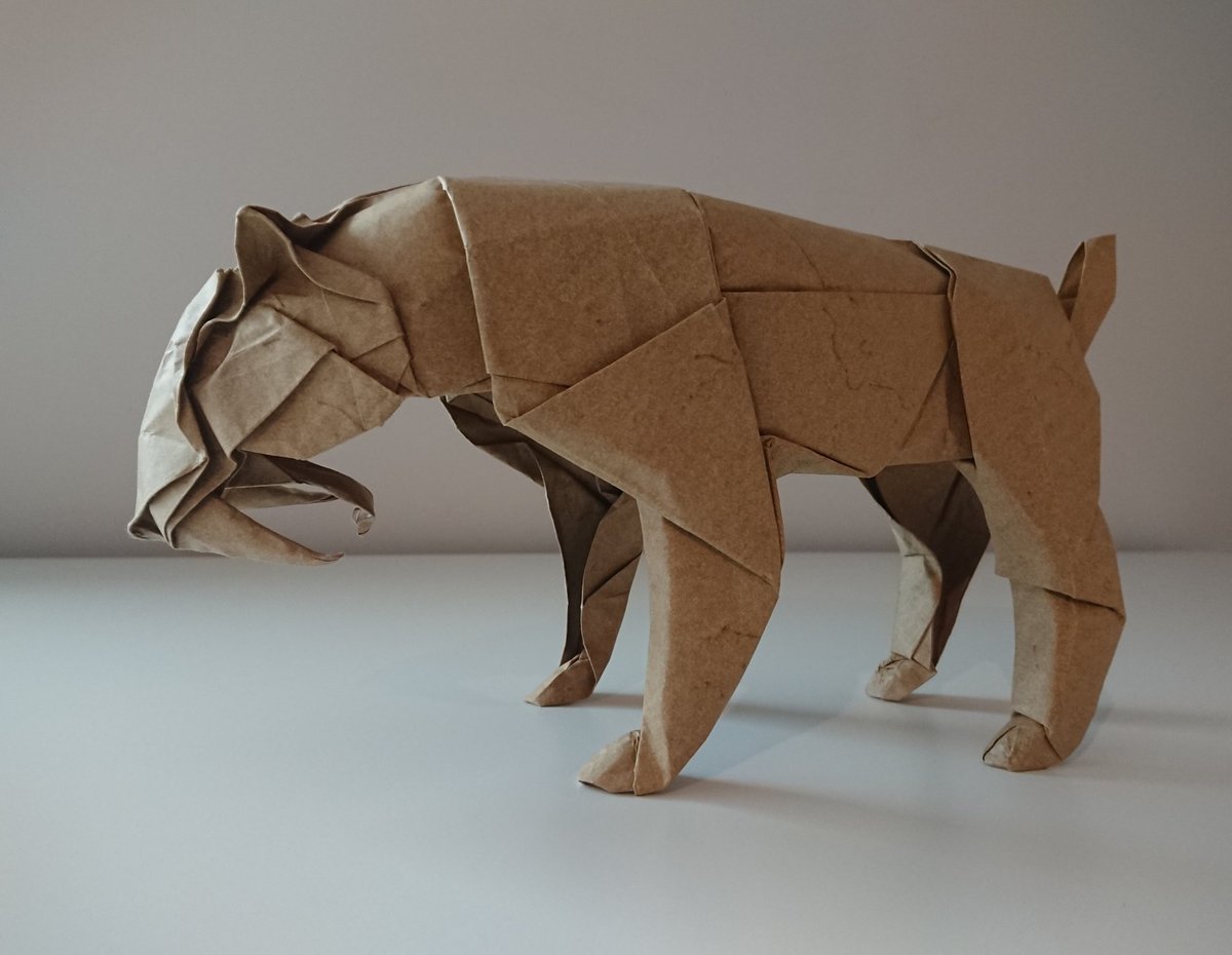 Smilodon (Satoshi Kamiya). Saber-toothed cat folded by by me from 70x70cm Elephant Hide paper. #origami #wetfoldingorigami #smilodon #sabertoothedcat #prehistoricanimals #extinctanimals #cat  instagram.com/p/B8wgn99J2_D/…