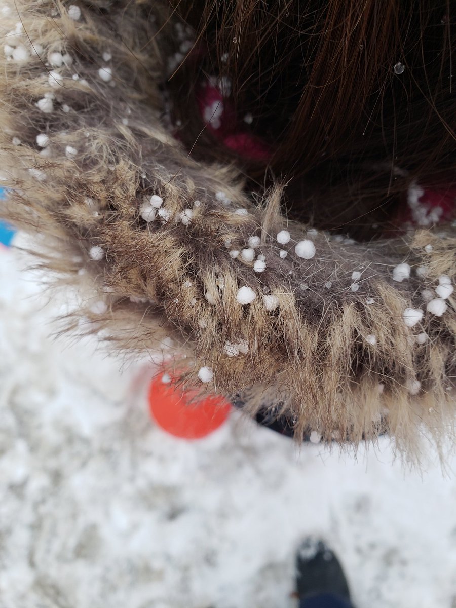 MHarper224's tweet photo. What is hail? Where did it come from?
@BirchviewDunes 
@SCDSBey 
@scdsboutdoors https://t.co/hks5DNLf6n
