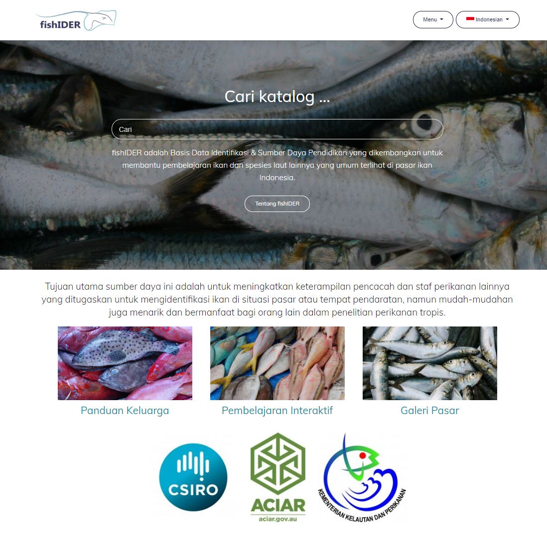 Helen O Neill Thegingerfish Twitter