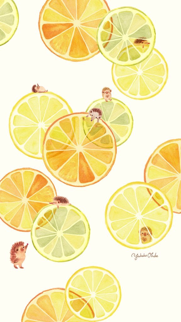 food fruit white background lemon no humans food focus simple background  illustration images