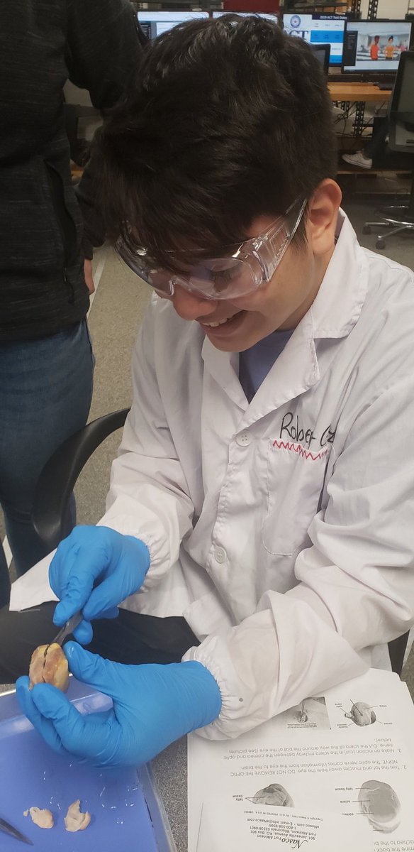 MistyPaneitz's tweet photo. Heart, eye, and kidney dissection day @HumbleISD_CTE @HumbleISD  @HumbleISD_HHS https://t.co/FucmOaSKt1