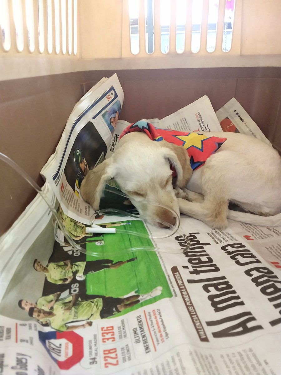 Alfredo Marquez T. tweet media