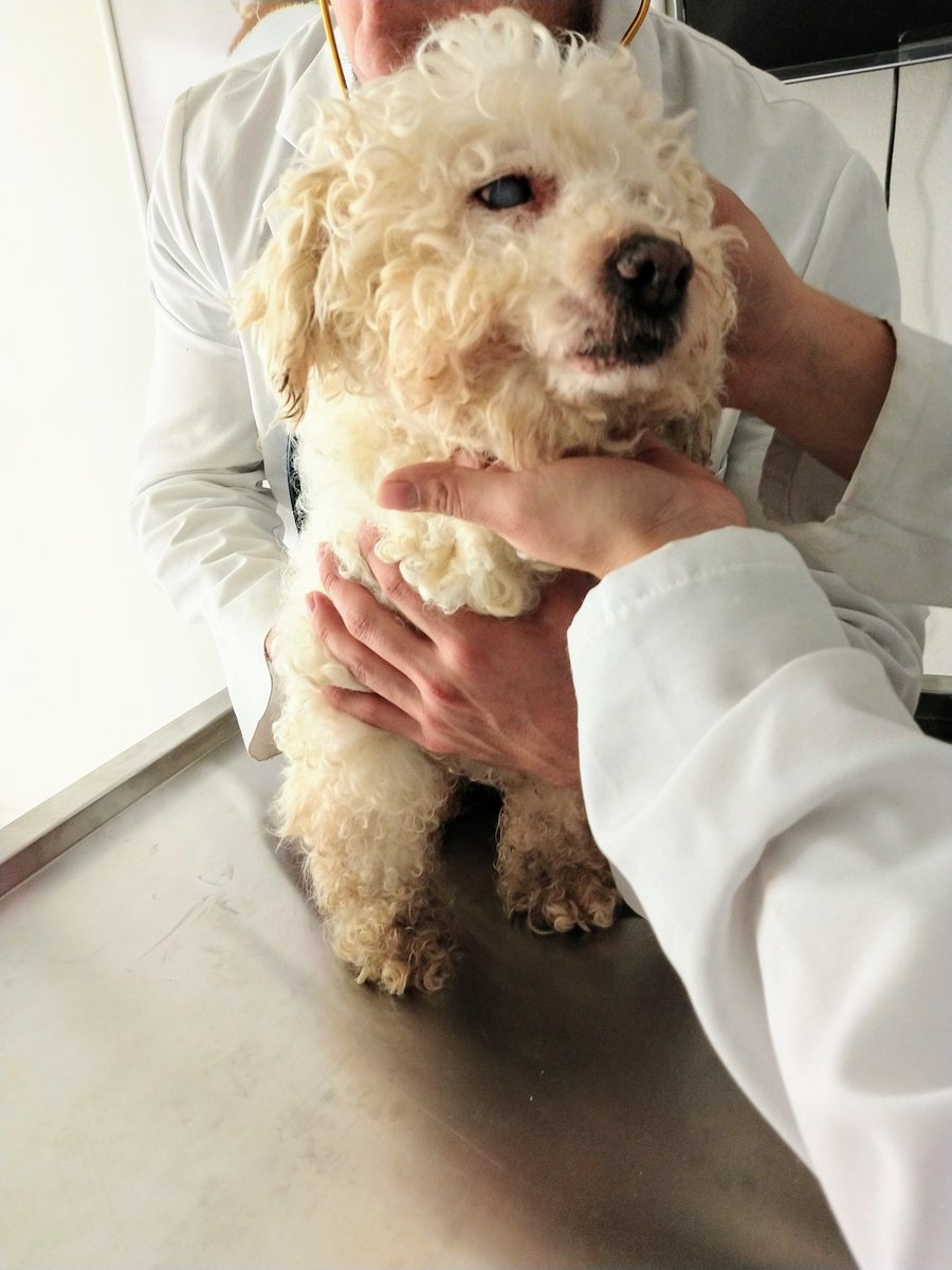 Alfredo Marquez T. tweet media