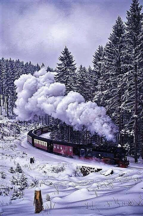 <a href="/PicPublic/">PicPublic</a>