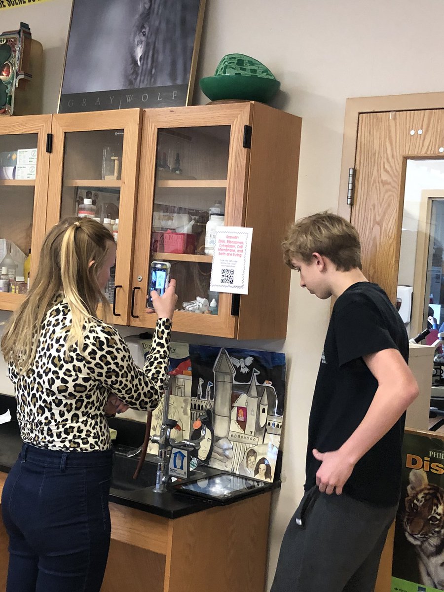 KelleyPeloquin's tweet image. Wrapped up our study of cells with a QR code scavenger hunt and some microscope practice with bacteria, plant and animal cells. #cbsdscience #biobrains