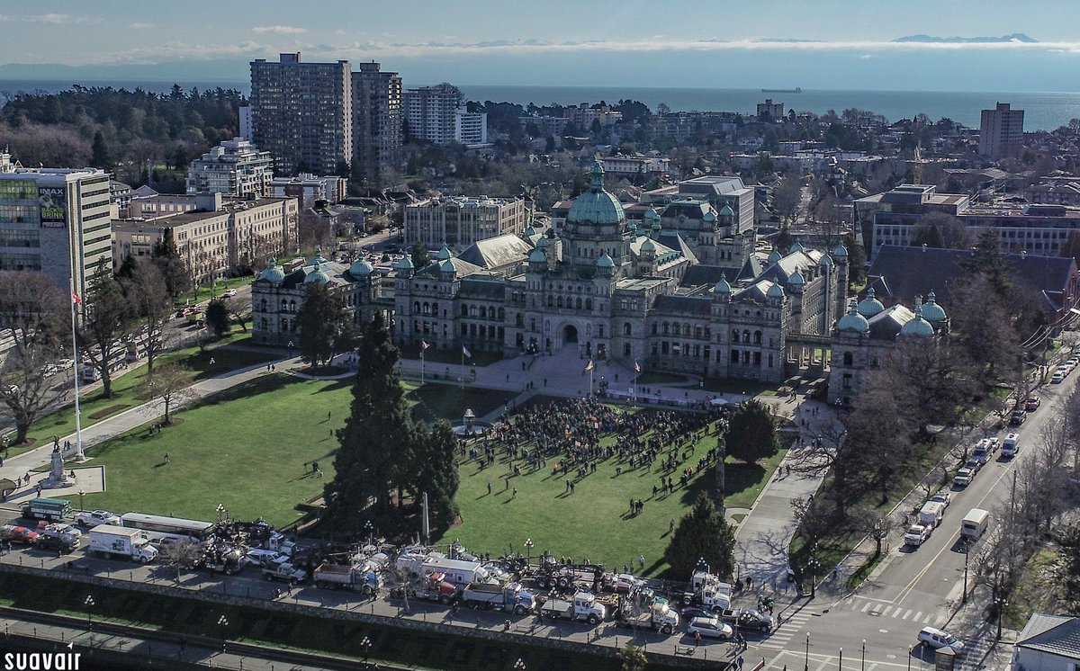 ForestryBC's tweet photo. A crowd of hundreds gathered on the lawn at the BC legislature for the BC Communities Forestry Rally yesterday. The Working Forest Petition, with over 8,000 original signatures gathered in less than 7 weeks, was successfully delivered to government. #SupportBCForestry https://t.co/DhIzXiw6Lx