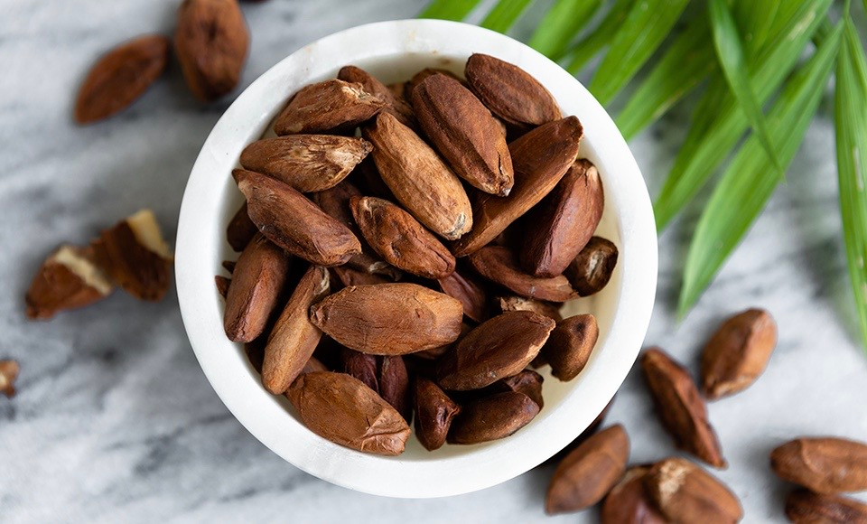LaurenCornellRD's tweet photo. #pilinuts are nutrition-packed #nuts grown in volcanic soil in the Philippines and South Pacific that have more #magnesium than any other nut.
Check out this article from @OF_OrganicFacts about #Pilinuts and their #nutritional benefits:
https://t.co/nGM3TZQgiO
📸: Naomi Whittel https://t.co/rZ6wwlLZeP