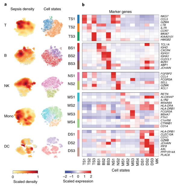 McHeyzer-Williams (@mmw_lmw) on Twitter photo An immune-cell signature of #Bacterial_Sepsis | Nir Hacohen <a href="/broadinstitute/">Broad Institute</a> <a href="/NatureMedicine/">Nature Medicine</a> buff.ly/2SGXam9 An immune-cell signature of #Bacterial_Sepsis | Nir Hacohen <a href="/broadinstitute/">Broad Institute</a> <a href="/NatureMedicine/">Nature Medicine</a> buff.ly/2SGXam9