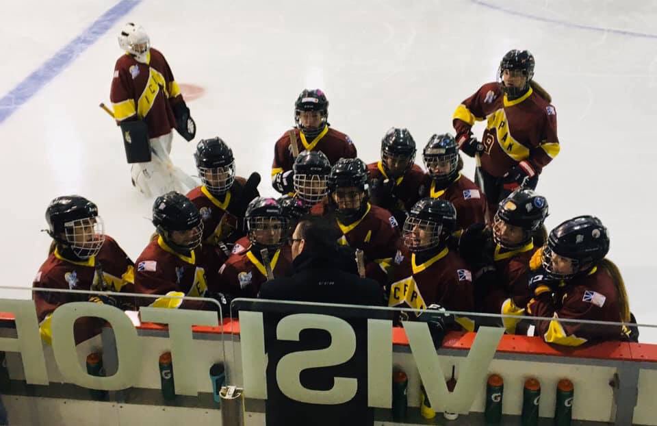 AAAFemaleBantam's tweet photo. Gold medal win 2-0 over Eastern IceBreakers. Time to get ready for Provincials!  Go Pak Go https://t.co/IWxo1B0Cjq