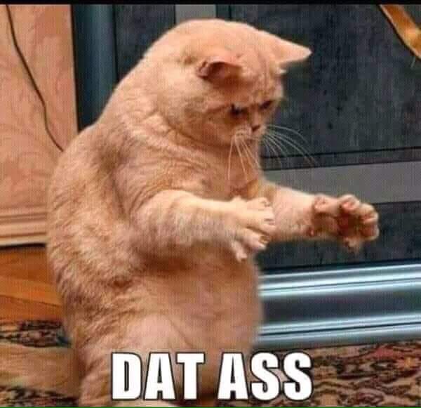 BlackJohnWick🔥 tweet media