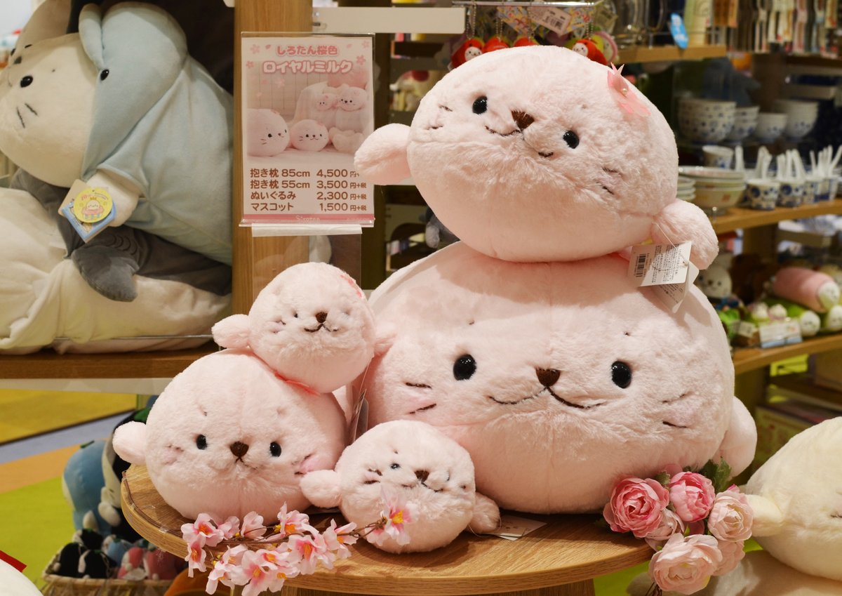 入手困難 85cm 桜 しろたん ぬいぐるみ 桜色 ロイヤルミルク 特大 BIG しろたん 桜色 ふわもち 抱き枕 ぬいぐるみ 大 85cm / Mother