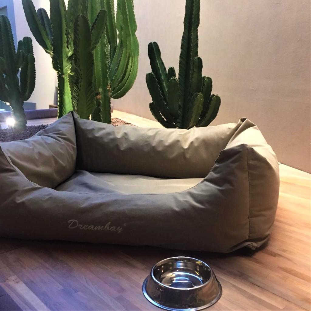 We love taking care of our special guests to make them feel at home! 🐶