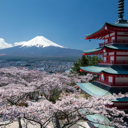 TripleLights's tweet photo. Japan is a blend of modern and ancient #culture. From traditions of respect to mind blowing tech. Get ready for your next trip to #Japan, and learn how the ancient customs endure and modern traditions evolve. https://t.co/FDBKuNDm8a
#travel #vacation #tour #sightseeing #holiday https://t.co/DESODeLq2L