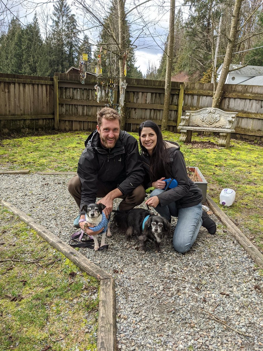 SAINTSrescue's tweet photo. Guess who got adopted last Friday.. RAIN!!!!! She went home with an absolutely lovely couple from the Island. She loves snoozing, snuggling, and exploring her new house top to bottom. They absolutely adore her extra sweet nature. Things are going well! Look at her on the couch 😍 https://t.co/I3GMWu0d8J