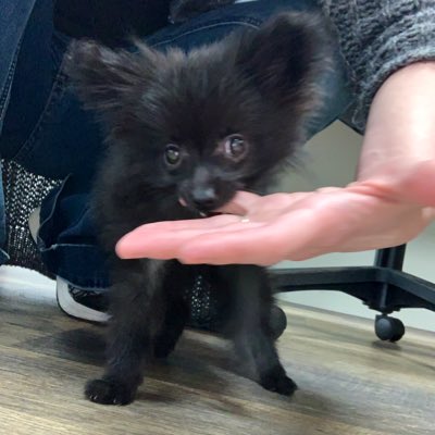 Nwind9's tweet photo. #NewProfilePic https://t.co/2IerxNUg1d