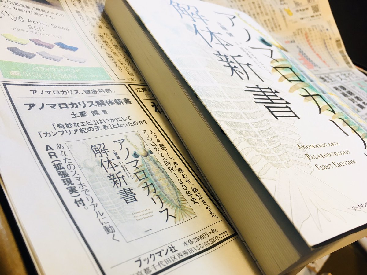 いそぎ読売新聞を購入。まさかの一面スミ、担当さんの剛腕炸裂。アノマロが全国共通語になる日も近いというのか。。。!!あとおいらの絵が一応全国紙デビューだー!わーい!←
#アノマロカリス解体新書 