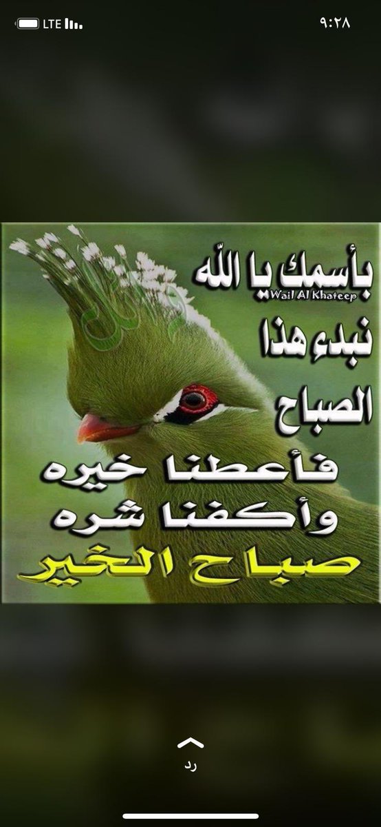 3sfooora2's tweet image. 