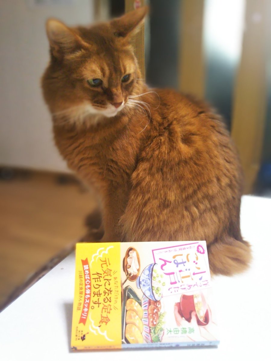 作ってあげたい小江戸ごはん