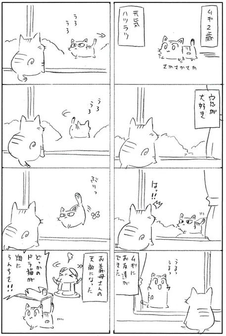 まんぷく愛猫生活更新しました。 