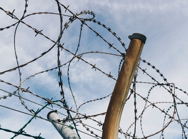 GeetaSundaram's tweet image. How Illiberal Politics is Impacting Business and Economies. My thoughts on how ordinary citizens are losing out against businesses and governments.
#Globalisation #AutomationAndAI
#NewEconomy #Protectionism peripateticperch.com/2020/02/20/how…