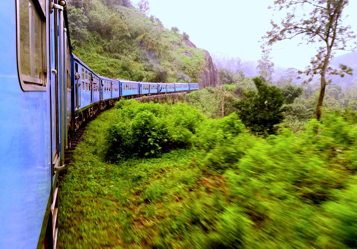 Darshi_Wickrama's tweet photo. #Demodara 🏞️🚞🚇 #SriLanka
#lovingplace #travelphotography #clickbyme📸 https://t.co/Qi71TtSBKt