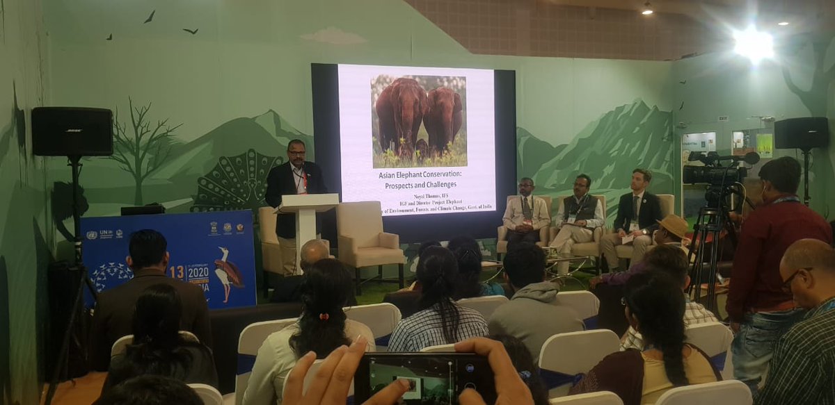 Session on #AsianElephant🐘 Conservation: Prospects &amp; Challenges' held at #CMSCOP13, in #Gandhinagar, #Gujarat.

The session was chaired by Shri Noyal Thomas, Director, Project Elephant along with other dignitaries.

#CMSCOP13India