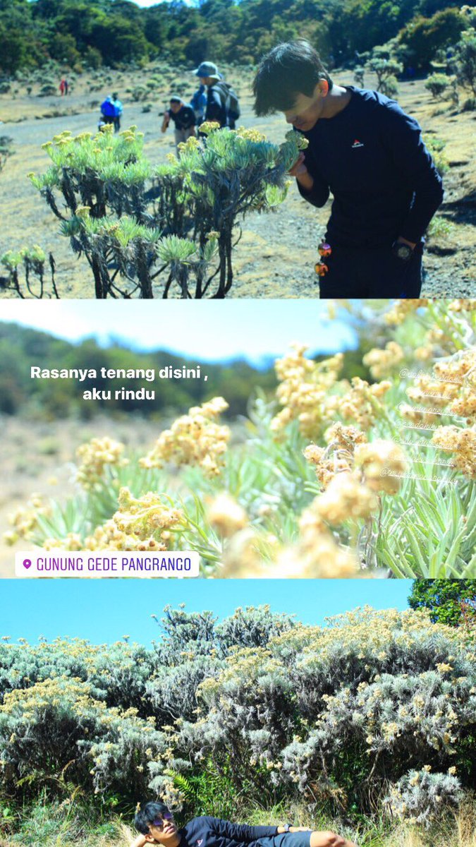 Ahmad Yogi SM (@edelweissenjaa) on Twitter photo Rasanya tenang disini, aku rindu <a href="/PendakiJakarta/">PENDAKI JAKARTA ๐ฎ๐ฉ</a> <a href="/PNDKID/">Jelajah Pendaki Indonesia</a> <a href="/pendakibudiman/">(pernah jadi)</a> #kamismanis #KamiSemangat Rasanya tenang disini, aku rindu <a href="/PendakiJakarta/">PENDAKI JAKARTA ๐ฎ๐ฉ</a> <a href="/PNDKID/">Jelajah Pendaki Indonesia</a> <a href="/pendakibudiman/">(pernah jadi)</a> #kamismanis #KamiSemangat