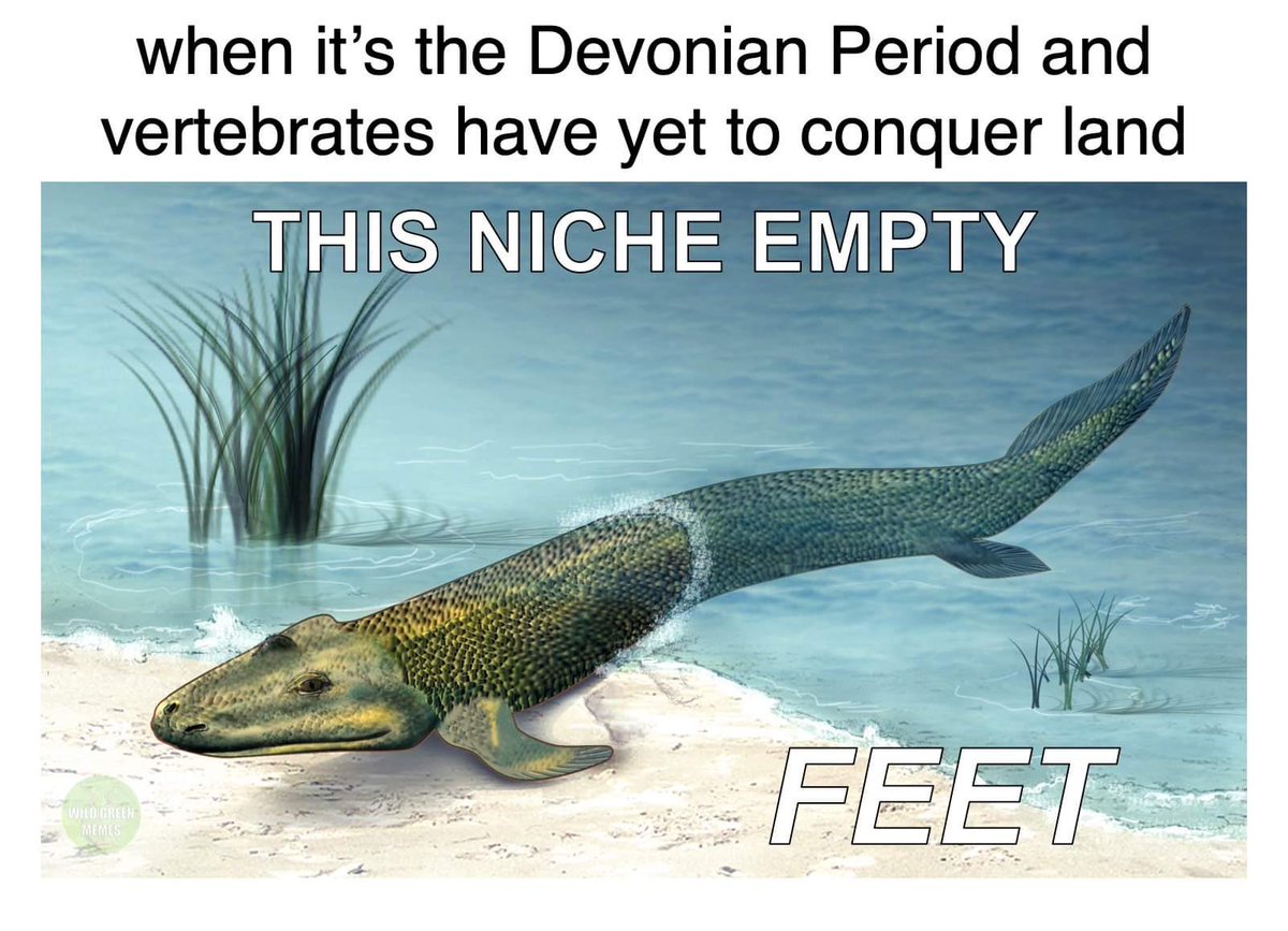 Just A Bit Alien 🌻 tweet media