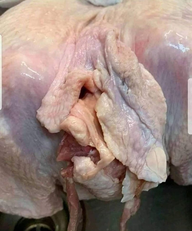 FloeezySA's tweet image. The typa girls y&apos;all be marrying of late... ku rough shem. And she expects you to be loyal to her, while she was never loyal to her thing.