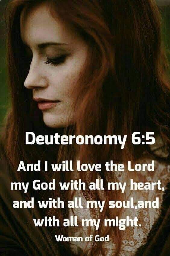 ChandaMoon3's tweet image. 