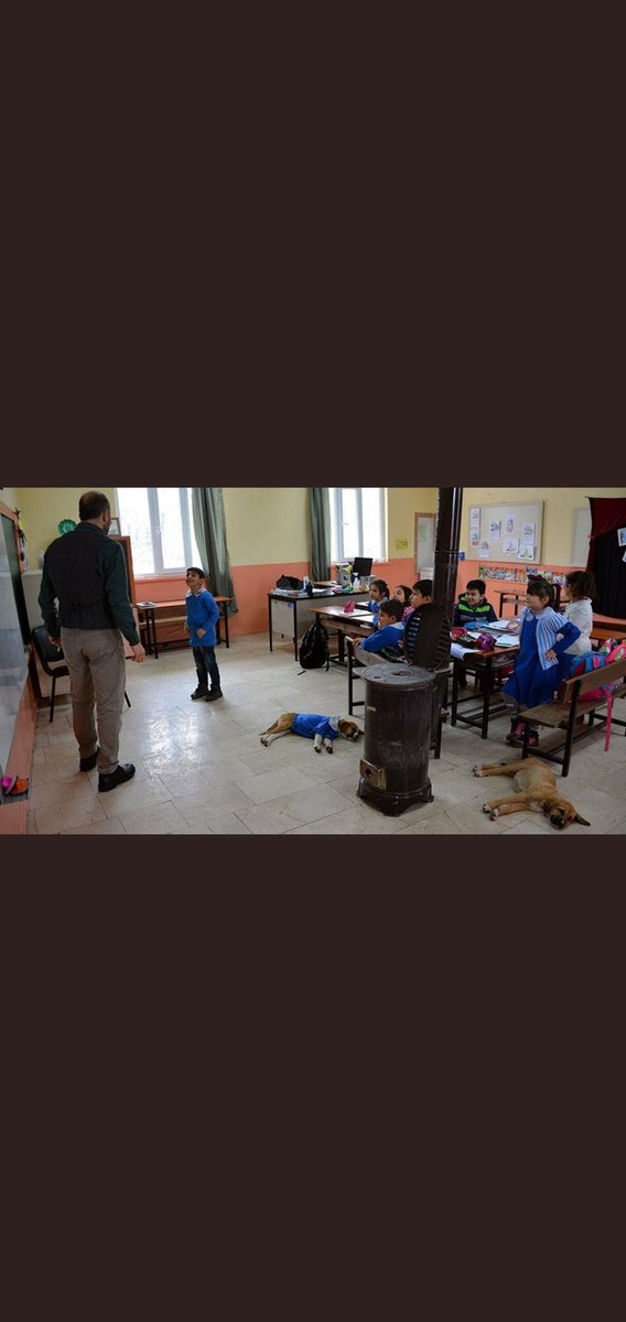 BBahadirErdem's tweet photo. 3 kız evlat sahibi olarak en lüks okullarda bir dolu ilkokul sınıfı gördüm ama hiç bu kadar güzelini hiç bu kadar bir çocuğun ruhuna hitap eden içinden iyilik taşan sıcağını görmedim❤
Para mutluluk sağlamaz unutmayın korumanız gereken çocuk yüreğinizin mutluluğudur https://t.co/4fhpqJXv07