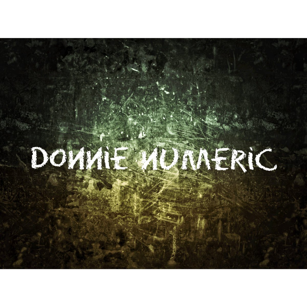 Donnie Numeric tweet media