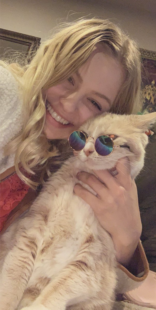 _kittykenz's tweet image. my cats hate me, but this is out of pure LOVE