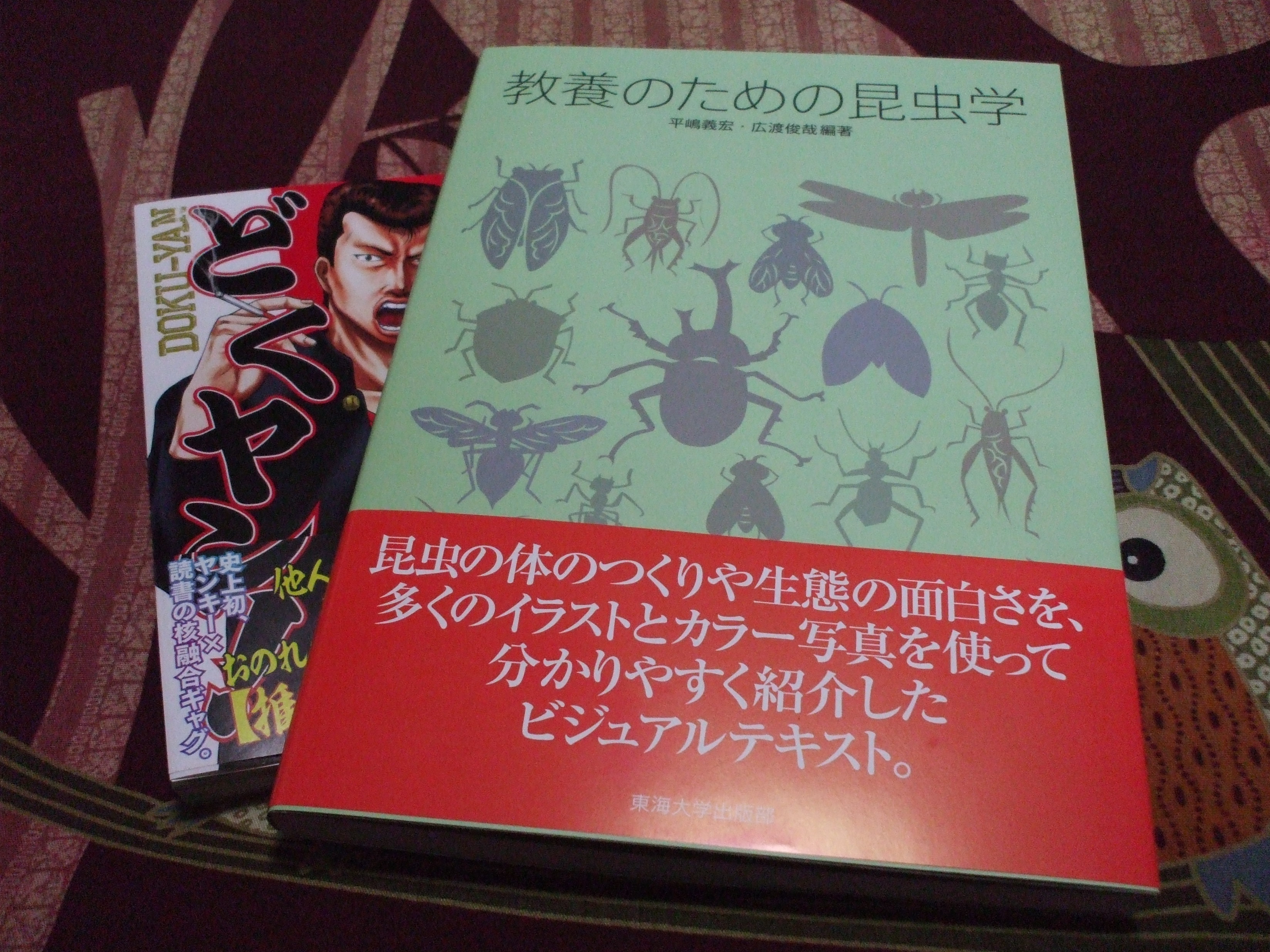 藤見泰高 大巨蟲列島 巨蟲山脈 連載中ですっ 楽しみにしていた本が届いたっ 特に恥ずかしそうに後ろに隠れてるヤンキー本が面白いんだぜっ 笑 T Co Zlymzx4gvq Twitter