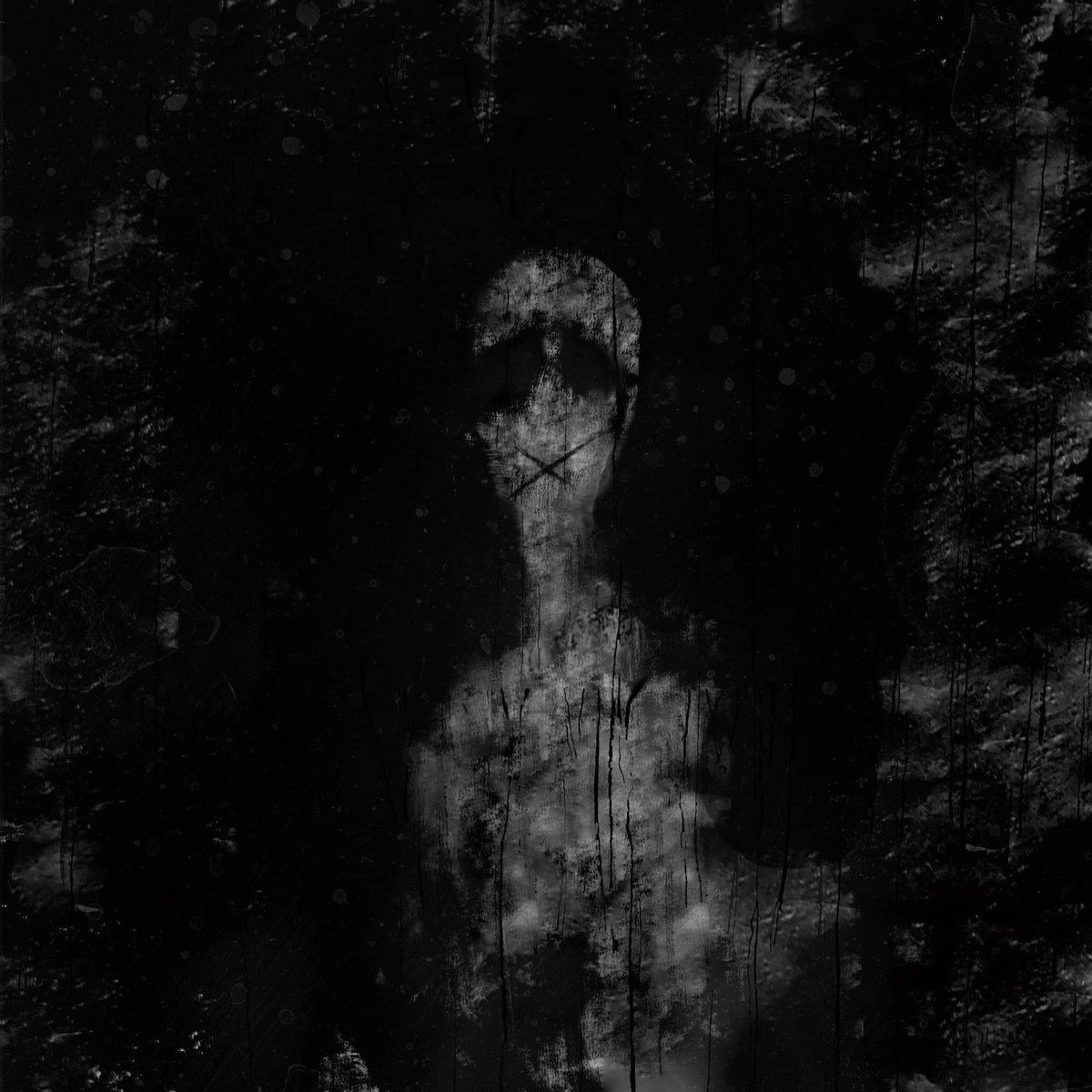 reflections tweet media