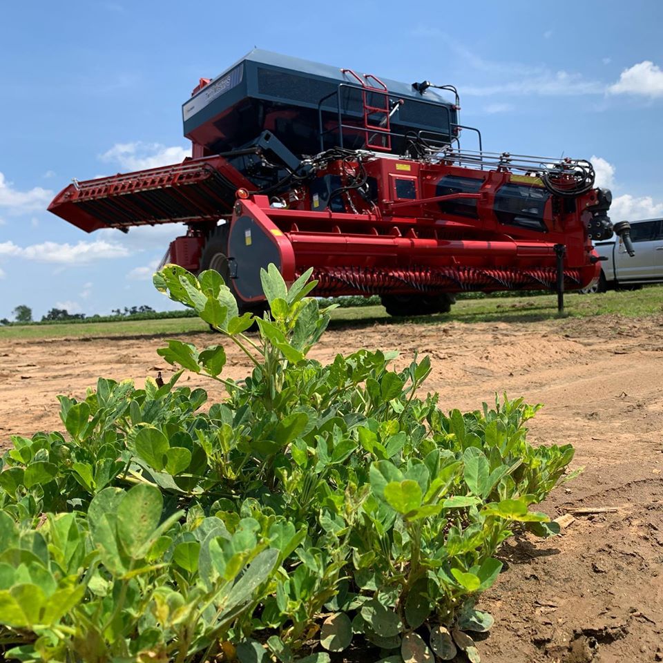 With the Colombo’s 6-Row Twin Master #peanuts Combine, your peanut crop receives special treatment from beginning to end with the exclusive Colombo rotary design.

#Colombo Colombo has over 40 years of experience building peanut combines with axial flow technology.
