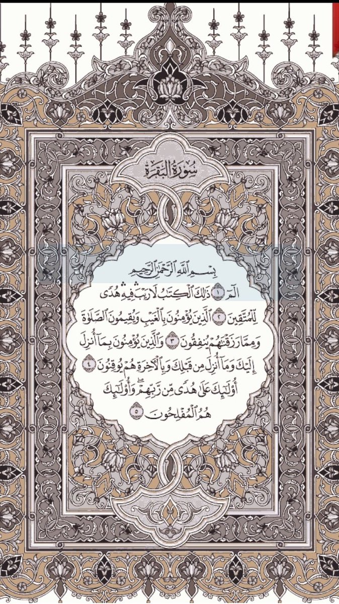 mamoail9's tweet photo. خد من وقتك دقيقتين واقراء معنا يوميا نقراء صفحتين من القران شارك بالقراءه ورتويت كتب الله لكم الاجر والثواب
قال رسول الله صلي الله عليه وسلم :
(من قراء حرفا من كتاب الله فله به حسنه والحسنه بعشر امثالها لاقول الم حرف ولكن الف حرف ولام حرف وميم حرف ) 
صححه الالباني https://t.co/uwpw6BYSul