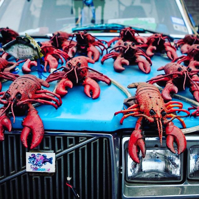 MakerFaireTyler's tweet photo. What do you mean you’ve never seen a Volvo covered in singing lobsters?!? That’s pretty run-of-the-mill for Maker Faire! https://t.co/mO0To3fvzp