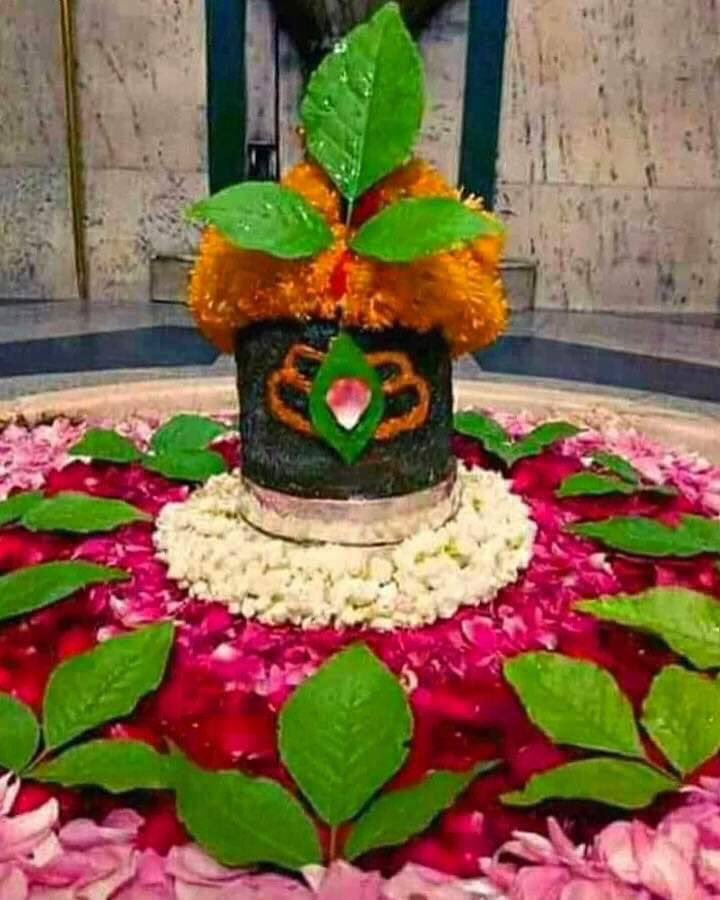 MahaShivRatri Why Lord Shiva likes Bel leaves? Bel Patra shares a very special relationship with Lord Shiva. Shiva is very fond of Bel patra. If a person prays to Shiva with a