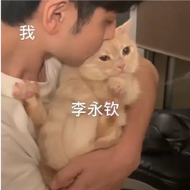 ten as cat 🐱 tweet media