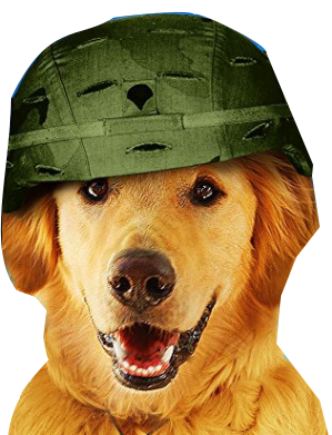 Ruby💖 tweet media