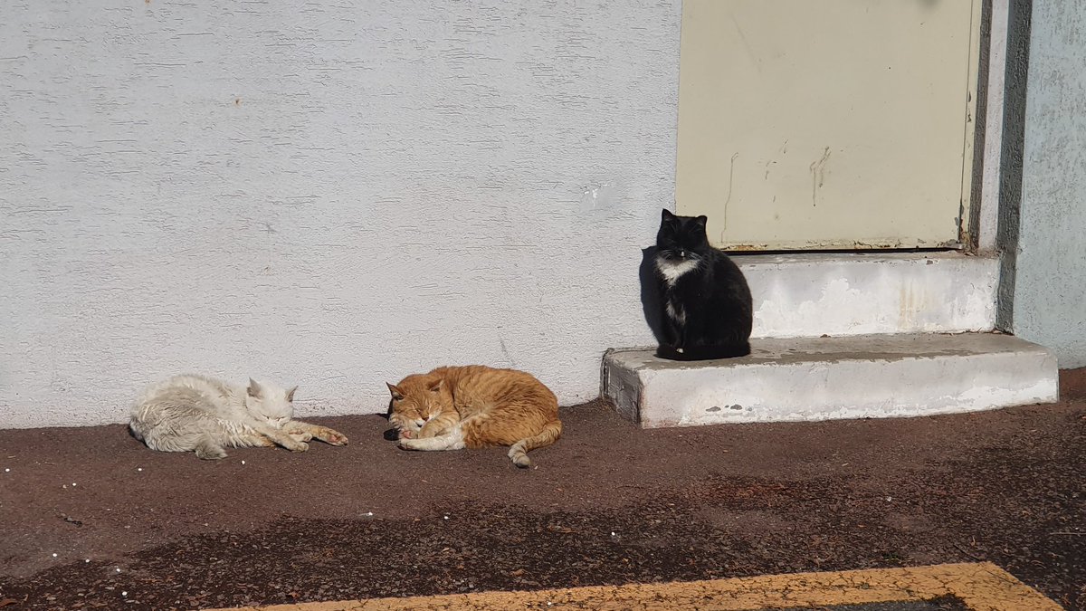 lbin218's tweet image. 졸음배틀