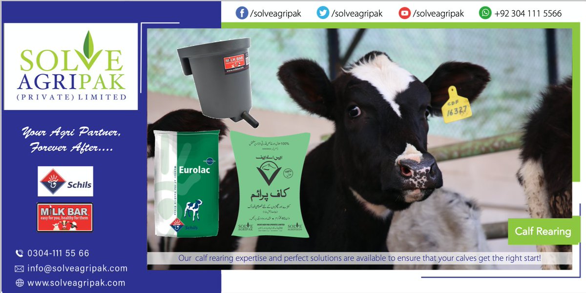 solveagripak's tweet photo. We are specialised in #CalfRearing. With our expertise in calf rearing integrated with high quality solutions including Calf Milk Replacers, Calf Starter, Calf Feeding Buckets and allied products. Contact us 0304-1115566 for your calf rearing needs #SAPPL #Schils #Milkbar #Dairy https://t.co/ziYKRICOpT