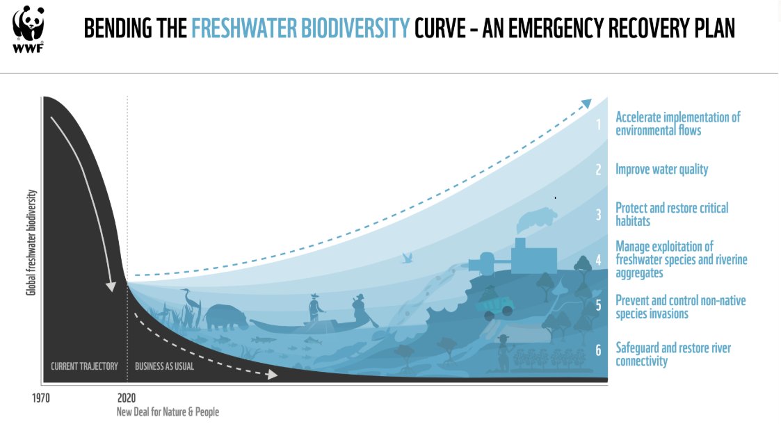 We have a last opportunity to create a world where rivers &amp; lakes once again teem with wildlife, and for healthy wetlands to sustain communities &amp; cities, but only if we stop treating them like sewers &amp; wastelands

bit.ly/2HB1pcJ #LetitFlow #FreshwaterBiodiversityMatters