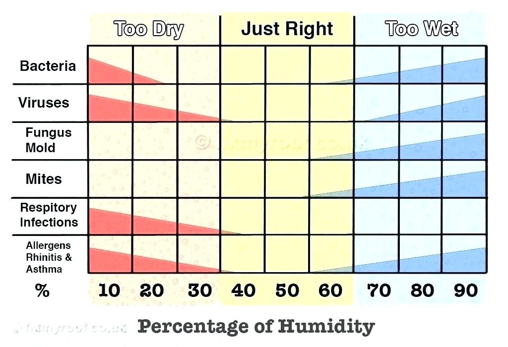 Why is the moisture level of a room important? Viruses love dry air. This is one major reason influenza spreads in the winter when ambient air humidity drops below 35% for months at a time.