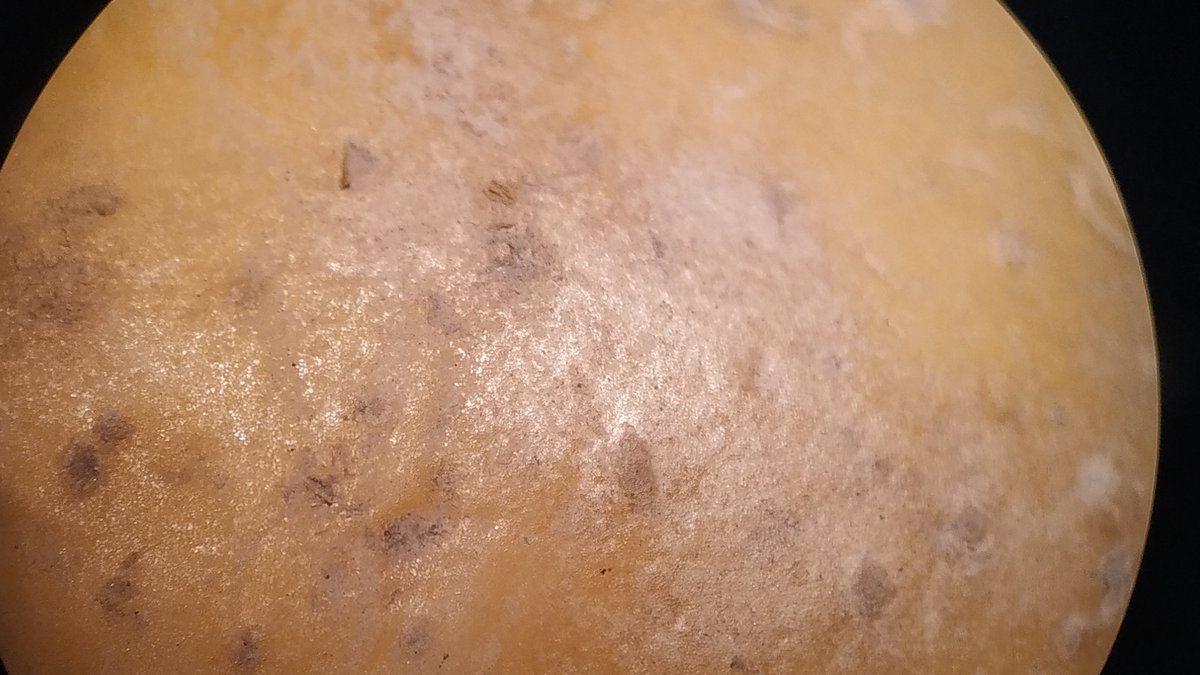 AntonioSanz tweet media