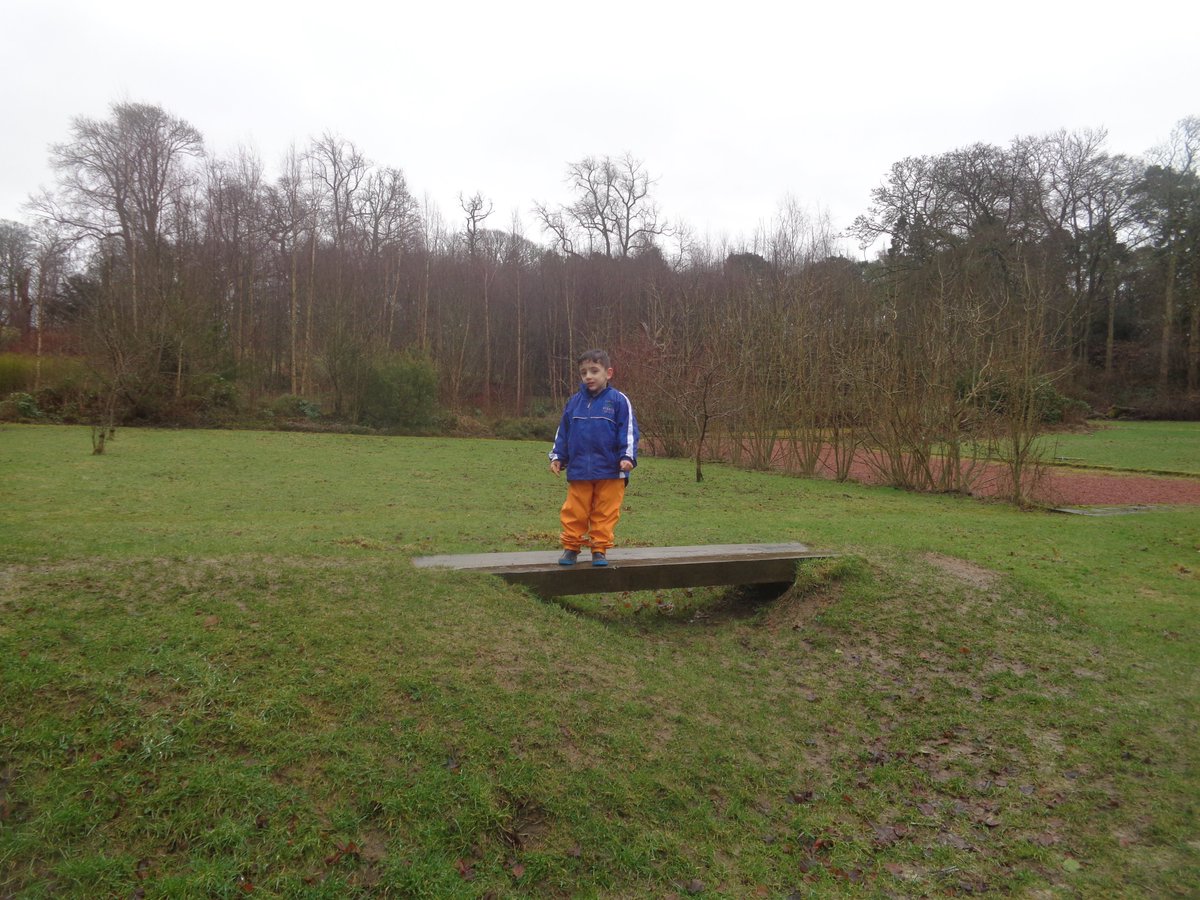 IsobelMairFC's tweet photo. Out again in the afternoon for more forest fun #outdoorlearning #forestvisit https://t.co/jB1UwKMGhg