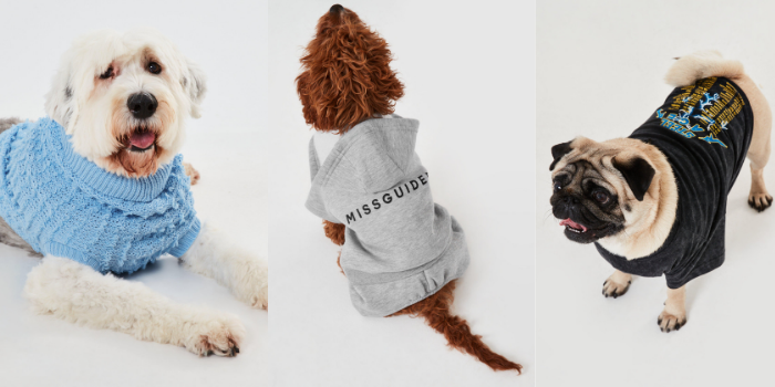MissguidedHQ's tweet photo. 🐶Today is the officially #LoveYourPetDay! Our colleagues’ pets recently took centre stage, modelling @Missguided's latest 4-legged collection of tees, jumpers and loungewear. We think they did a pawesome job!💘 #missguidedvibes https://t.co/urHyusOeXg